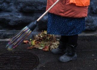 Более 25 тысяч кубов мусора: как Николаев борется с несанкционированными свалками