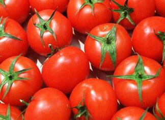 В Україні тепличні помідори продовжують дорожчати третій тиждень поспіль
