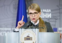 Тимошенко предложила механизм увеличения доходов бюджета на 175 млрд