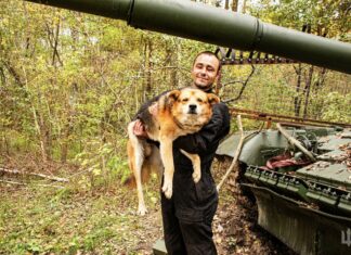 Танкист с хвостом: история пса Каштана, воюющего вместе с бойцами, — ФОТО