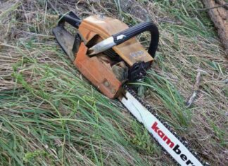 В Николаевской области мужчина спилил деревья в центре города, — ФОТО