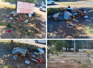 Жители выбрасывали мусор, несмотря на запрет: в Николаеве снова борются с свалками, — ФОТО