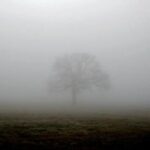 Желтый уровень опасности: николаевцев предупредили о тумане