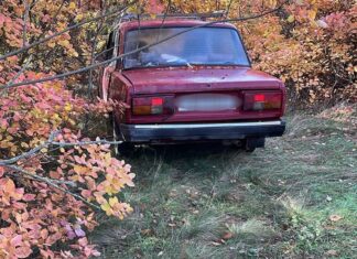 Захотел развлечься и угнал авто: в Николаевской области задержали преступника, — ФОТО