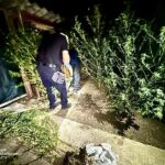 Задержали «садовода» наркотиков: на Первомайщине перед судом предстанет 31-летний мужчина, — ФОТО