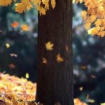 Праздник 12 ноября: что сегодня поздравляем, чего избегаем, о чем молимся