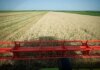 Жнива-2025: Україна зібрала близько 48 млн тонн зерна з 84% засіяних полів