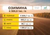 Посівну озимих завершили 9 областей, засіяно вже 97% від запланованого