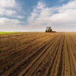 Посівну озимих завершили 9 областей, засіяно вже 97% від запланованого