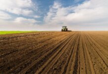 Посівну озимих завершили 9 областей, засіяно вже 97% від запланованого