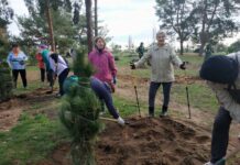 Осенняя высадка в Николаеве: более 300 новых деревьев украсят городские парки, — ФОТО