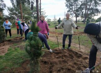 Осенняя высадка в Николаеве: более 300 новых деревьев украсят городские парки, — ФОТО