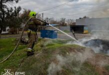 Газовая плита, мусор и дачные дома: Николаевщина снова в огне, — ФОТО