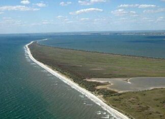 Кинбурнская коса превратилась в плацдарм окупантов: заповедник уничтожен боями
