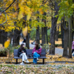 Похолодание, туман и ливни: синоптики предупредили украинцев о резкой смене погоды