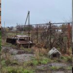 «Стерилизация ради жизни»: как волонтеры спасают животных на деоккупированной Николаевщине, — ФОТО