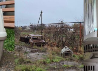 «Стерилизация ради жизни»: как волонтеры спасают животных на деоккупированной Николаевщине, — ФОТО