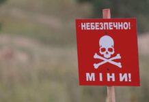 Николаевщина остается одной из самых заминированных территорий Украины