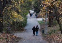 Начало зимы будет теплым: какую погоду ожидать в Украине на следующей неделе (карты)