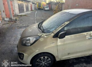 Мусор, кабель и гараж: ГСЧС ликвидировала пять пожаров за день в Николаевской области, — ФОТО