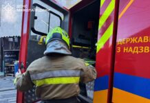 Огонь в ресторане, жилом доме и на полях: в Николаевской области произошло девять пожаров в сутки, — ФОТО