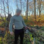 Спилил два дерева — заплатит более 13 тысяч: в Николаевской области экологи разоблачили нарушителя, — ФОТО