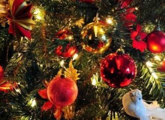 Что стоит успеть сделать николаевцам к Новому году