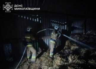 В Николаевской области пылало: спасатели потушили три пожара, — ФОТО