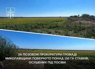 На Николаевщине общине вернули более 150 га прудов, которые фермер незаконно осушил под посевы