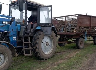 «Лес без документов»: в Николаевской области поймали нарушителя с акацией и кленом, — ФОТО