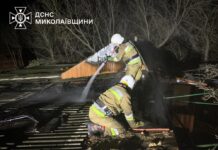 От масштабного пожара до возгорания крыши: в Николаевской области ликвидировали возгорание, — ФОТО