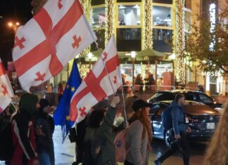 Протестующие в Тбилиси требуют международной проверки разгонов акций