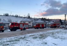 На Закарпатті сталася пожежа на магістральному газопроводі — ДСНС