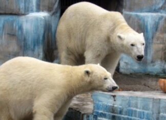 Николаевский зоопарк: цены на билеты и график работы