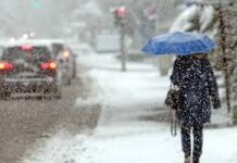 Морозы, мокрый снег и сильный ветер: в регионе объявили желтый уровень опасности