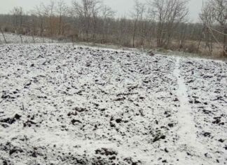 В Николаевской области выпал первый снег, — ФОТО