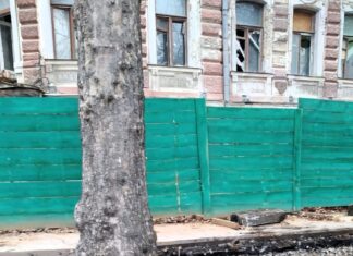 В Николаеве у памятника архитектуры местного значения уничтожили семь деревьев, — ФОТО