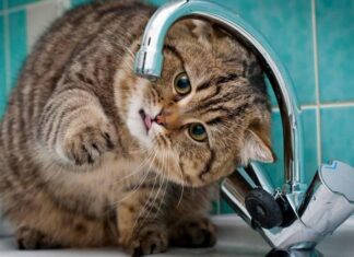 Завтра в центре Николаева вода будет подаваться с пониженным давлением