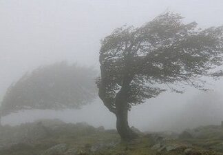 Николаевщину накроет сильный ветер: синоптики объявили желтый уровень опасности