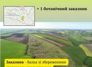 На Николаевщине создали новый заказник: сохранена уникальная степная балка