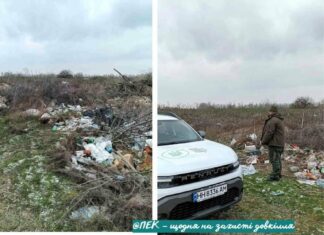 На Николаевщине обнаружили масштабную стихийную свалку