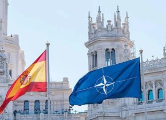 Испания инициирует создание общей армии ЕС на фоне кризиса вокруг Гренландии