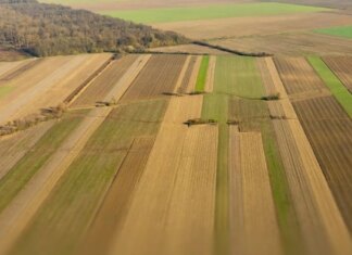 Ринок землі в Україні перейшов до стабільної моделі розвитку в 2025 році — Мінекономіки