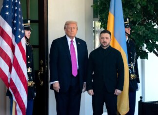 Зеленський запропонував Трампу угоду про вільну торгівлю між Україною та США та особливі економічні зони