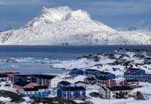 Скандинавские дипломаты опровергли заявления Трампа о российских и китайских судах у Гренландии