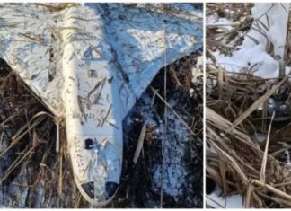 В Молдове обнаружили российский дрон "Гербера": МИД страны выступил с осуждением