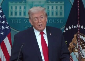 Трамп договорился с Рютте о Гренландии и пообещал не вводить пошлины против Европы