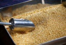 Золото встановило новий історичний рекорд і перевищило позначку 4900 доларів, срібло та інші метали теж "на висоті"