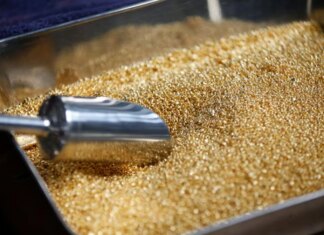 Золото установило новый исторический рекорд и превысило отметку 4900 долларов, серебро и другие металлы тоже "на высоте"