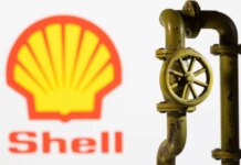 Shell рассматривает возможность продажи активов на стратегическом аргентинском месторождении Vaca Muerta